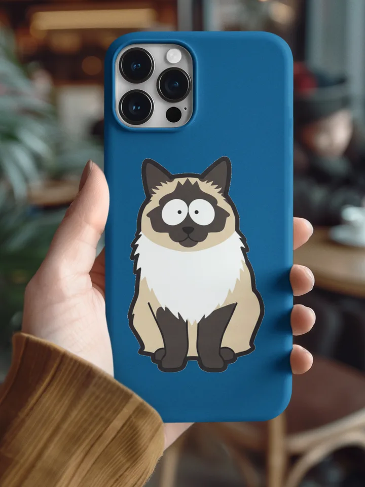 Phone Cases